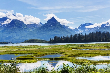 Travel agents have revealed an increase in cruises booked to Alaska 